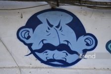 Bakı küçələrində qraffiti sənəti - duya, danışa və dəyişə bilən canlı orqanizm (FOTO)