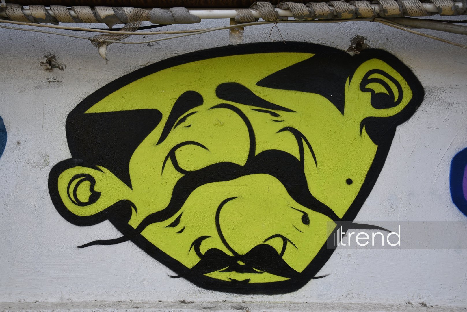 Bakı küçələrində qraffiti sənəti - duya, danışa və dəyişə bilən canlı orqanizm (FOTO)