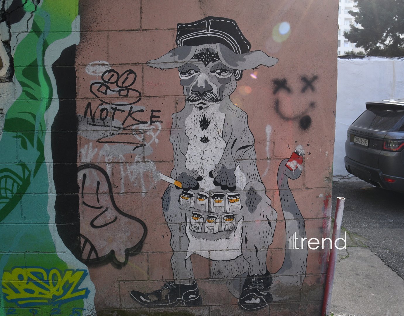 Bakı küçələrində qraffiti sənəti - duya, danışa və dəyişə bilən canlı orqanizm (FOTO)