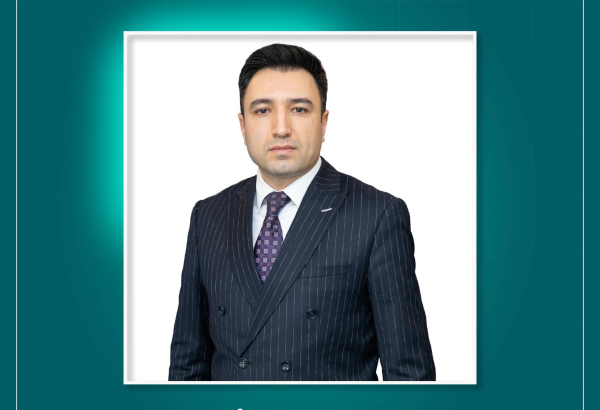 Dövlət Məşğulluq Agentliyinin İdarə Heyətinə yeni sədr müavini təyin edilib