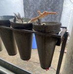 İsmayıllıda qanunsuz fəaliyyət göstərən quş kəsimi sexi aşkarlandı (FOTO)