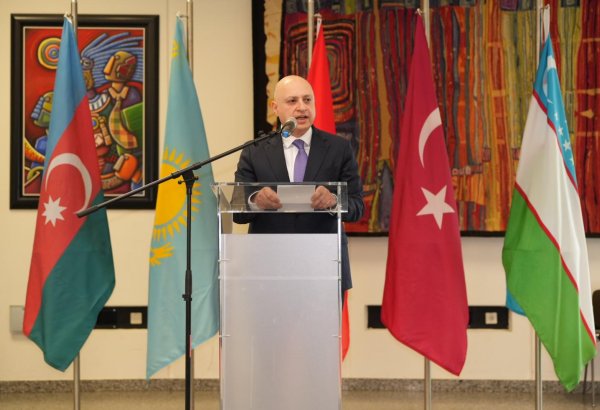 Vyanada “Orta Dəhliz”in şərqlə qərb arasında oynadığı rol müzakirə edilib (FOTO)