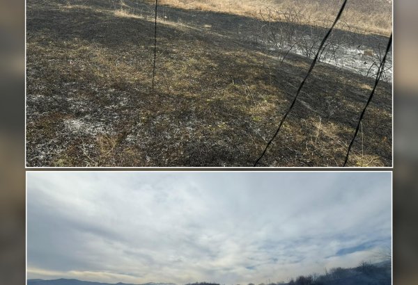 Xocalıda yanğın törədən şəxs saxlanıldı