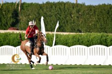 Çövkən Qırmızı dəniz sahilində: Marsa Alam beynəlxalq arenaya çevrildi (FOTO)