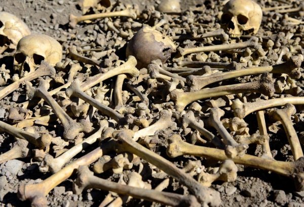 Almaniyada kütləvi məzarlıq aşkarlandı