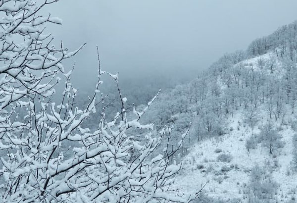 Bakıya sabah da qar yağacaq - Proqnoz