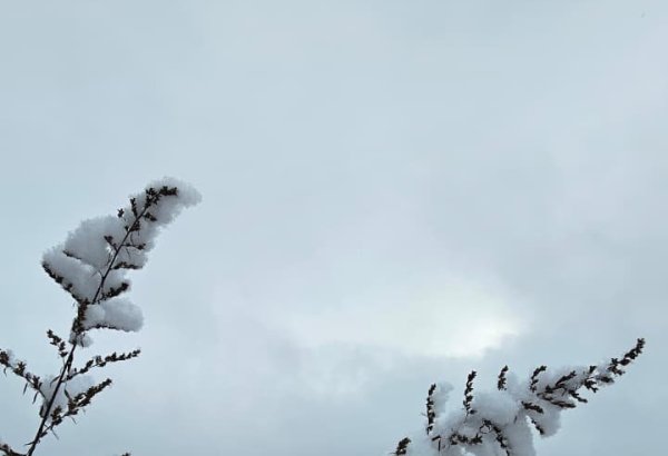 Azərbaycanda qarlı hava nə vaxta qədər davam edəcək? - AÇIQLAMA