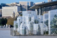 Bakı bulvarındakı kaktuslar bu səbəbdən xüsusi qaydada örtüldü (FOTO)