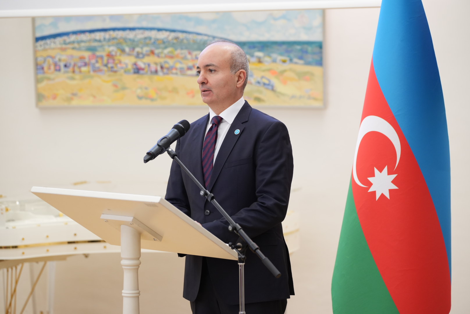 Vyanada TDT-yə üzv ölkələrin diaspor qurumlarının nümayəndələri bir araya gəlib (FOTO)