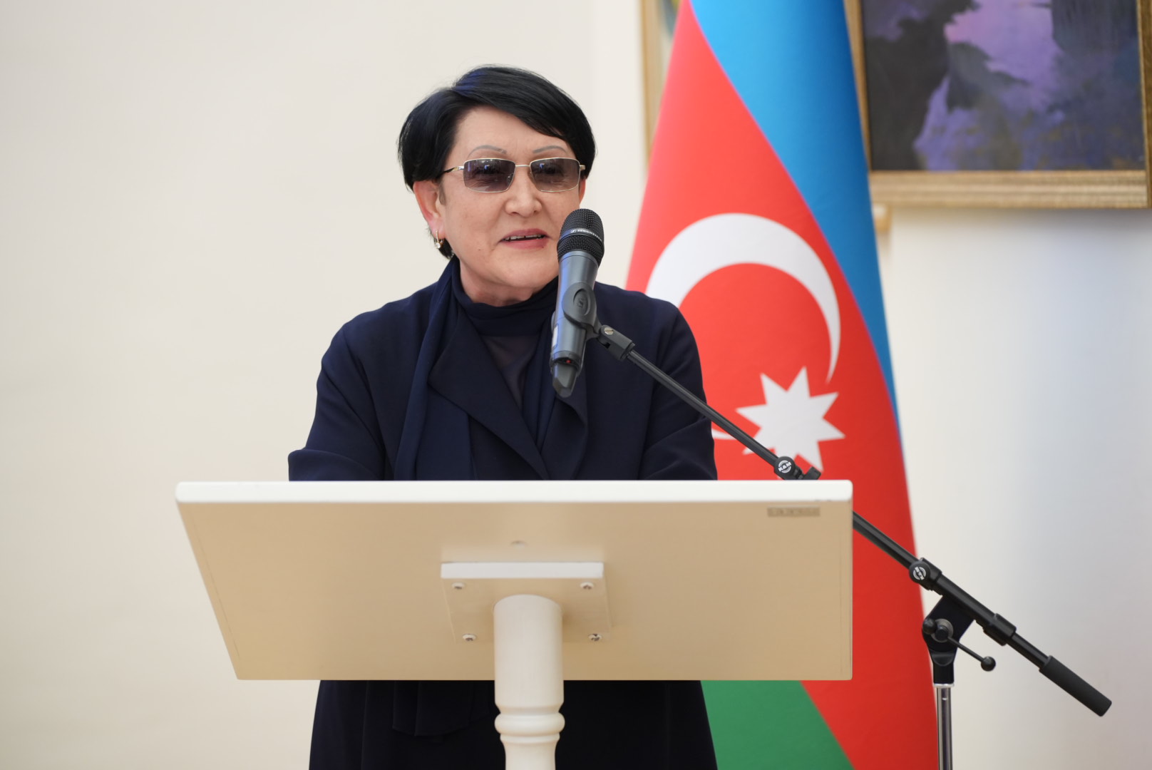 Vyanada TDT-yə üzv ölkələrin diaspor qurumlarının nümayəndələri bir araya gəlib (FOTO)