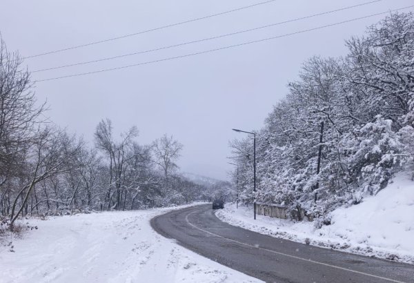 Ən çox qar bu əraziyə yağıb - Faktiki hava