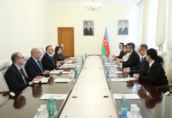 Səhiyyə Nazirliyində beynəlxalq əczaçılıq şirkətinin nümayəndə heyəti ilə görüş keçirildi (FOTO)