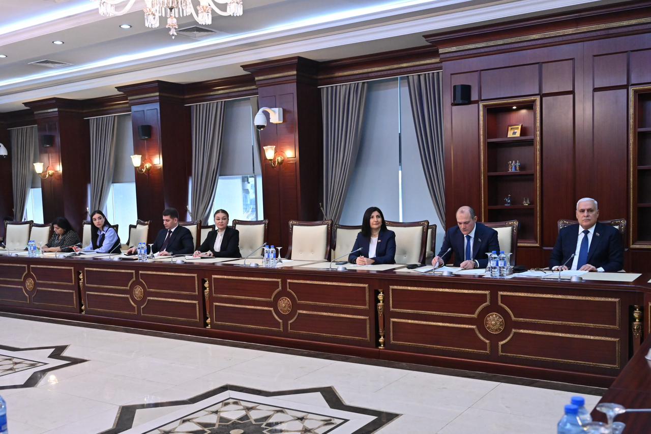 Milli Məclisin İnsan hüquqları komitəsində ilin ilk iclası keçirildi (FOTO)