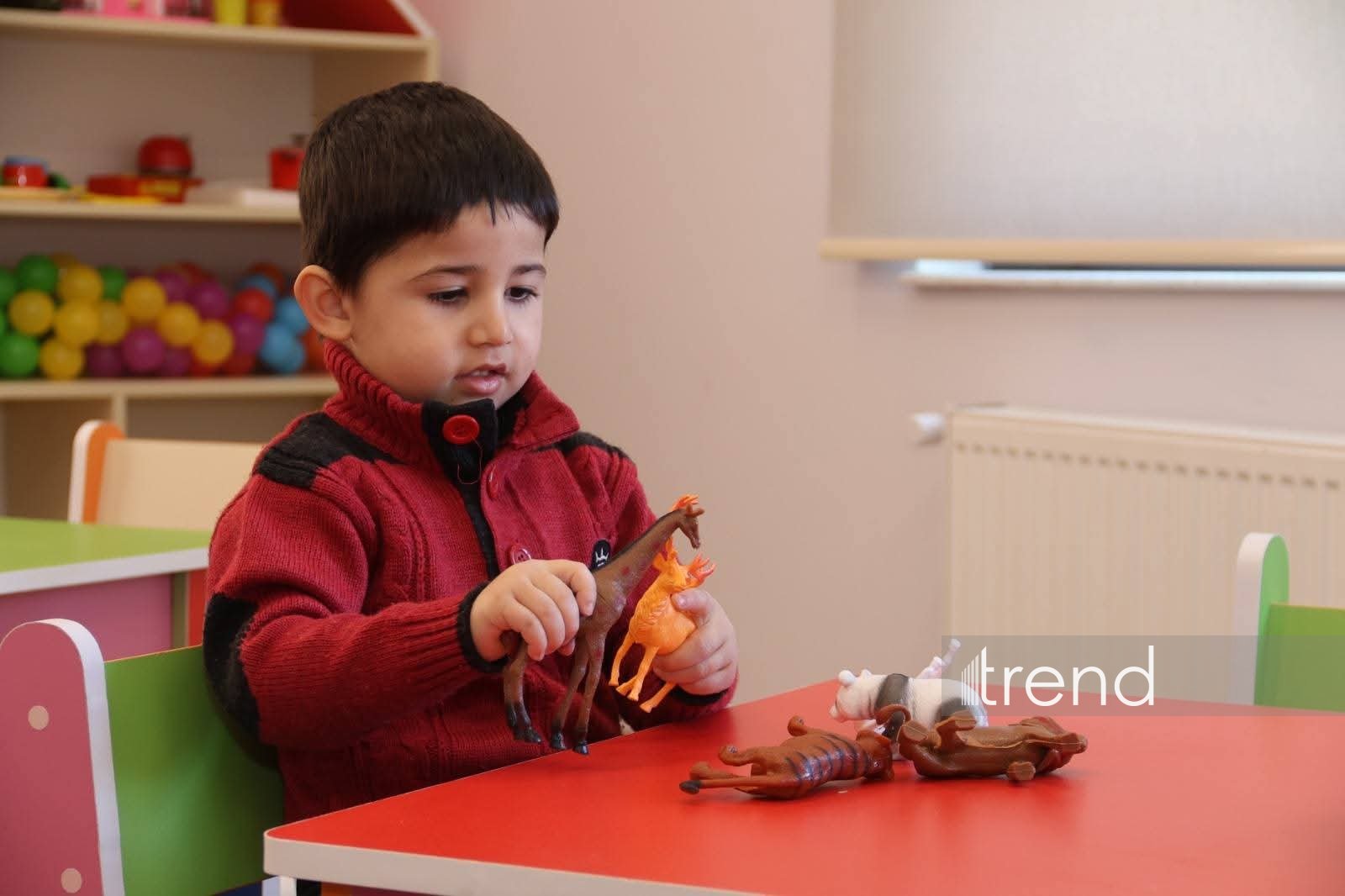 Kərkicahanda tədris prosesi bərpa edildi (FOTO)