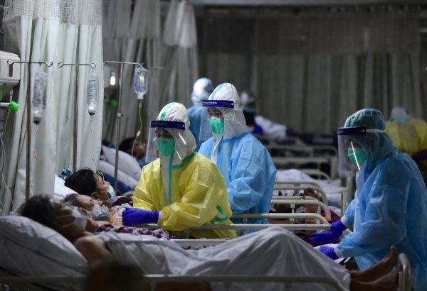 Çində Nipah virusuna qarşı potensial dərman hazırlandı