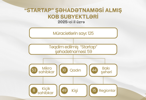 2025-ci ildə 59 mikro və kiçik sahibkar innovativ layihələr üzrə vergi güzəştləri əldə edib