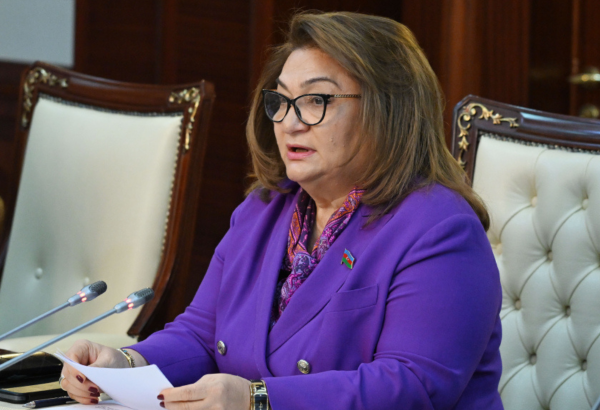 Qadınların orta maaşının kişilərin maaşına yaxınlaşması təmin ediləcək – Komitə sədri