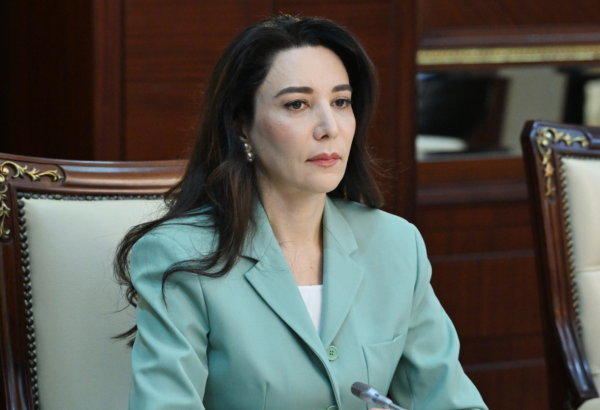 Ombudsmana yeni səlahiyyət veriləcək