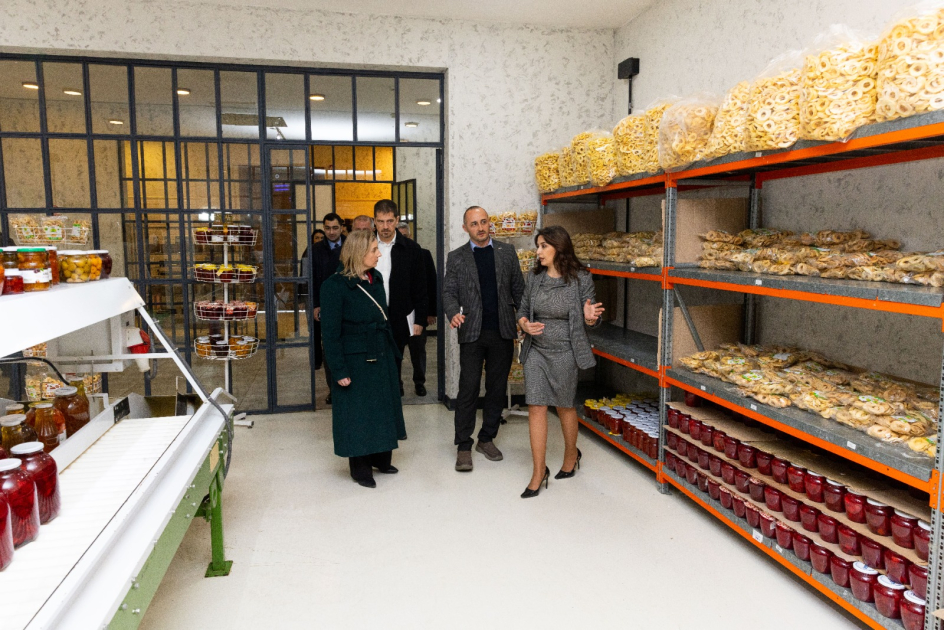 ABŞ nümayəndə heyəti “ABAD” müəssisəsində olub (FOTO)