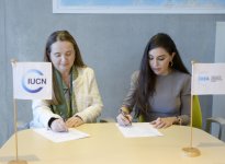 Heydər Əliyev Fondunun vitse-prezidenti Leyla Əliyeva və Qretel Agilar İsveçrədə əməkdaşlıq imkanlarını müzakirə ediblər (FOTO)