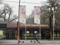 Almaniyadan Azərbaycana 18 zubr yola salınıb (FOTO)