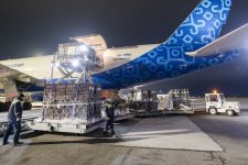 Almaniyadan Azərbaycana 18 zubr yola salınıb (FOTO)