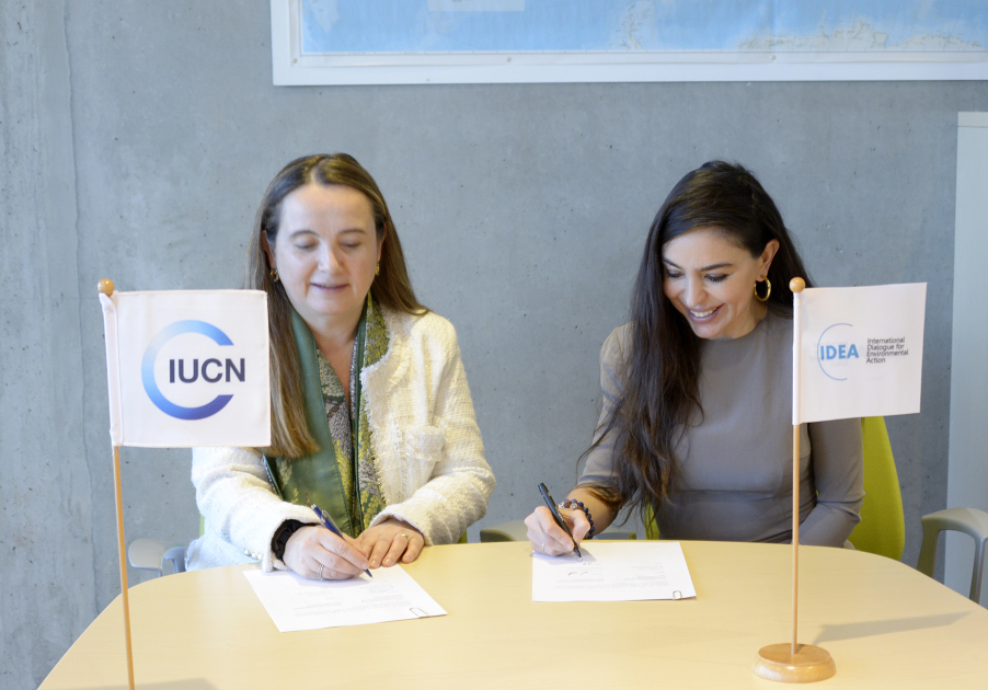 Heydər Əliyev Fondunun vitse-prezidenti Leyla Əliyeva və Qretel Agilar İsveçrədə əməkdaşlıq imkanlarını müzakirə ediblər (FOTO)