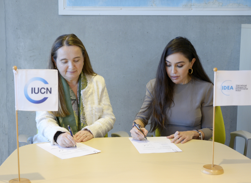 Heydər Əliyev Fondunun vitse-prezidenti Leyla Əliyeva və Qretel Agilar İsveçrədə əməkdaşlıq imkanlarını müzakirə ediblər (FOTO)