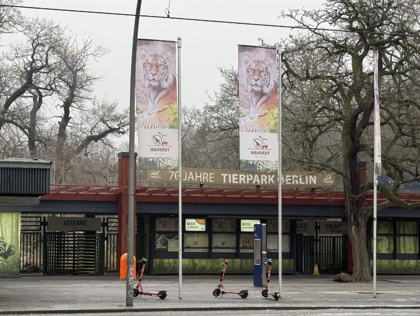 Almaniyadan Azərbaycana 18 zubr yola salınıb (FOTO)