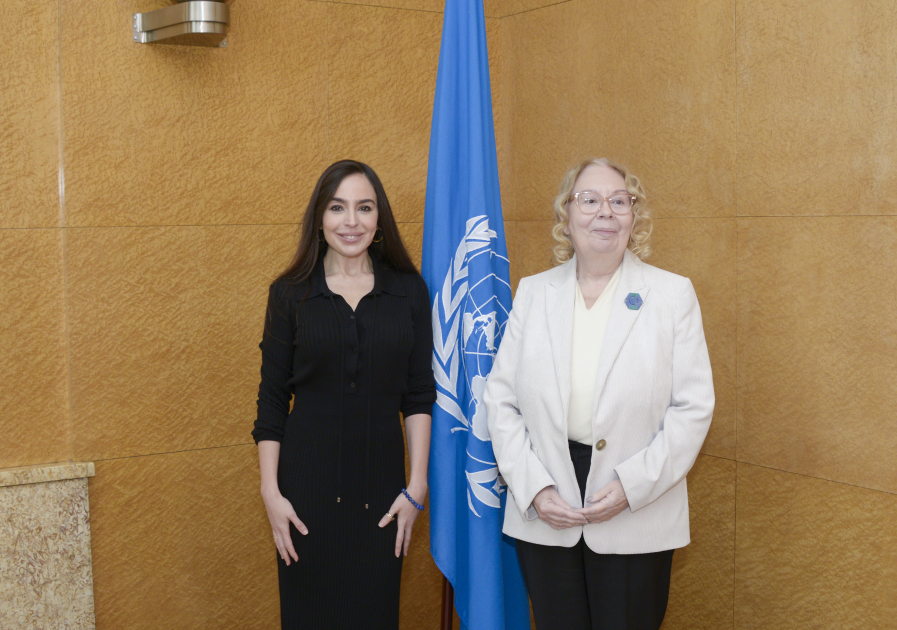 Heydər Əliyev Fondunun vitse-prezidenti Leyla Əliyeva BMT-nin Cenevrədəki ofisinin baş direktoru ilə görüşüb (FOTO)