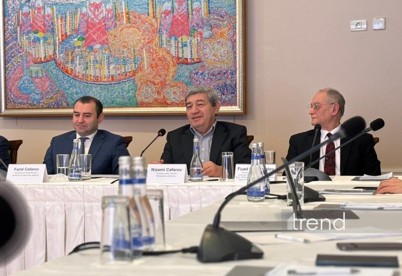 Yazıçı öz kitabını küçədə sata bilməz - Nizami Cəfərov