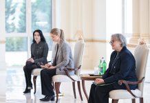 Prezident İlham Əliyev Avstraliyanın Azərbaycanda yeni təyin olunmuş səfirinin etimadnaməsini qəbul edib (FOTO) (YENİLƏNİB)