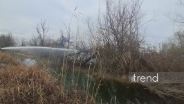 Ağcabədidə çoxillik ağaclar yandı (FOTO)