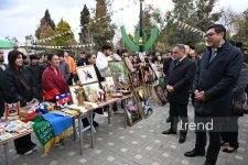 Goranboyda Gənclər Gününə həsr olunan festival keçirilir