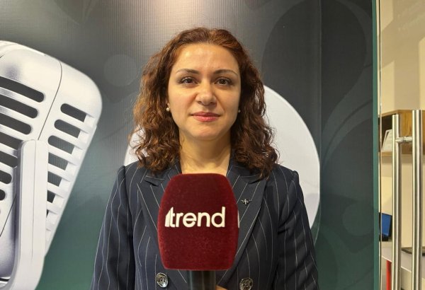 180 minə yaxın gənc könüllü olmaq üçün DOST agentliyinə müraciət edib - Aygün Musayeva