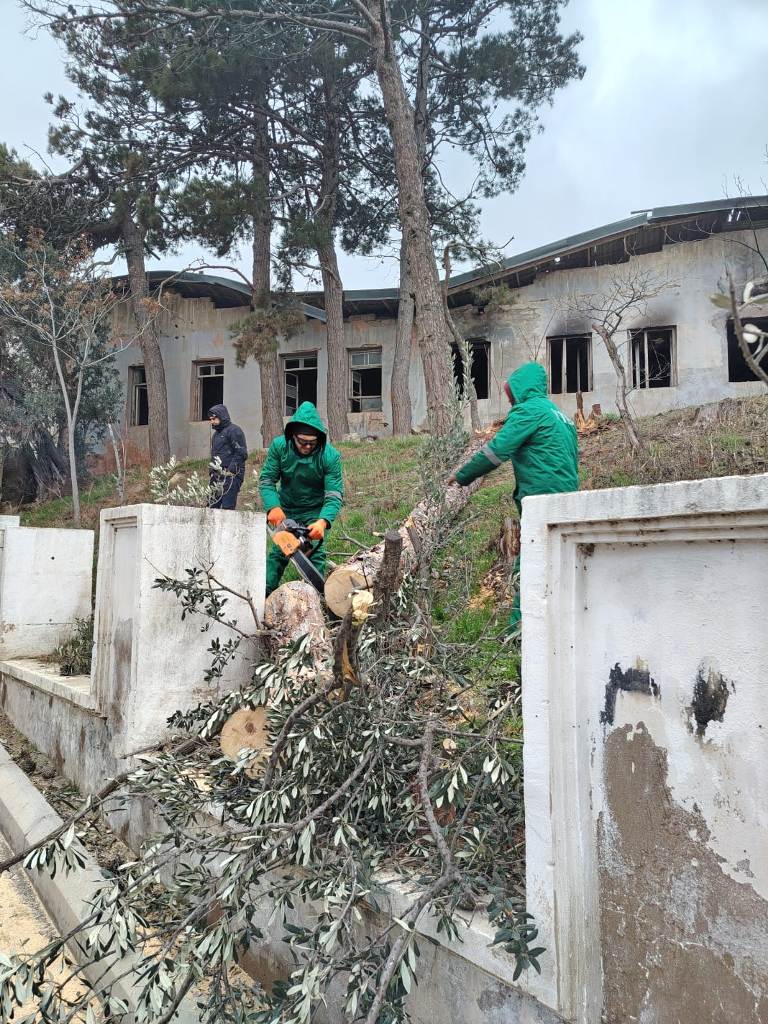 Güclü külək Bakıda onlarla ağaca ziyan vurub (FOTO) (YENİLƏNİB)