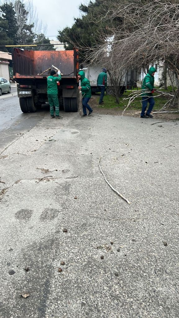 Güclü külək Bakıda onlarla ağaca ziyan vurub (FOTO) (YENİLƏNİB)