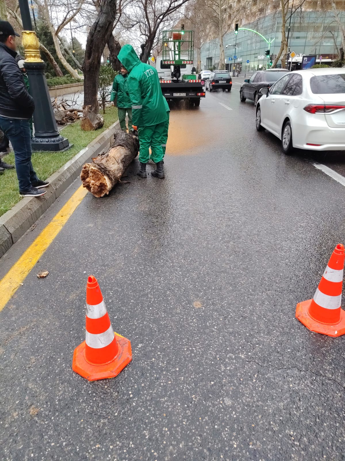 Güclü külək Bakıda onlarla ağaca ziyan vurub (FOTO) (YENİLƏNİB)