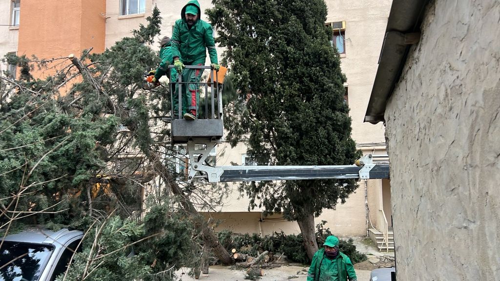 Güclü külək Bakıda onlarla ağaca ziyan vurub (FOTO) (YENİLƏNİB)
