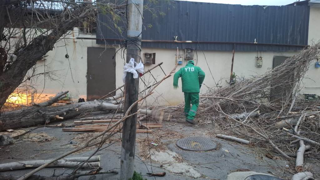 Güclü külək Bakıda onlarla ağaca ziyan vurub (FOTO) (YENİLƏNİB)