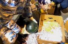 Qarpız yükündə gizlədilən külli miqdarda narkotik vasitə aşkar edildi (FOTO)