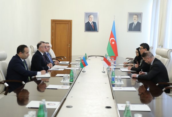 Azərbaycan və İndoneziya arasında səhiyyə sahəsində əməkdaşlıq müzakirə olunub (FOTO)