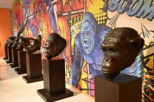 Heydər Əliyev Mərkəzində “Vəhşi təbiətin super qəhrəmanları” sərgisi açılıb (FOTO/VİDEO)