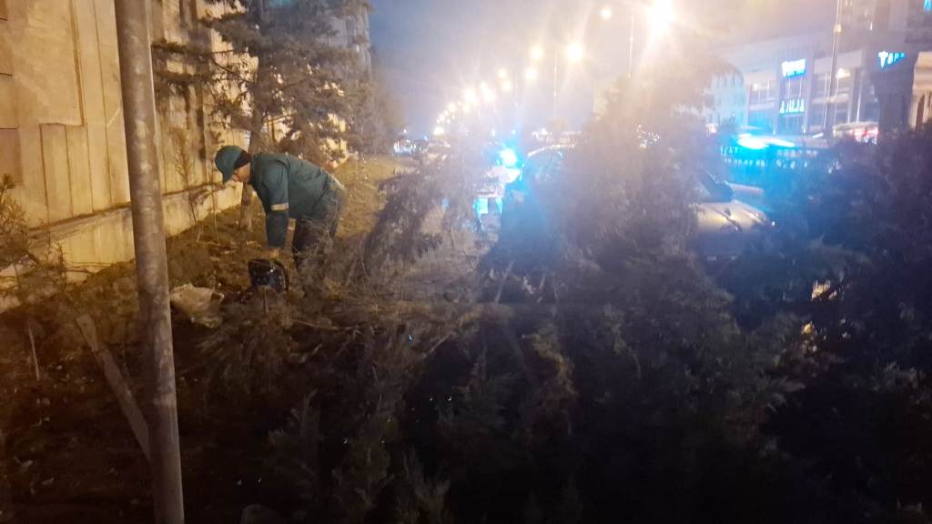 İki gündə Bakıda 78 ağac sınıb (FOTO)