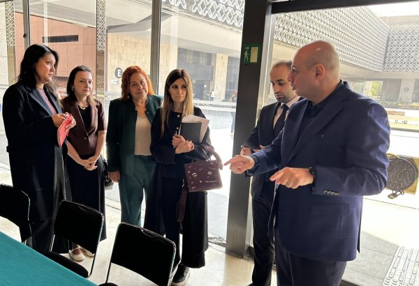 Azərbaycan və Meksika parlamentlərarası əməkdaşlığı gücləndirmək niyyətindədir (FOTO)