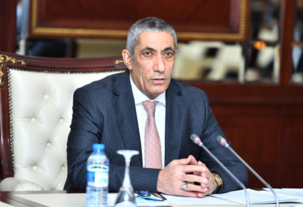 Bələdiyyələrə sanksiya mexanizmlərinin tətbiqi nəzərdən keçirilə bilər – Komitə sədri