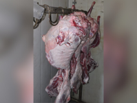 Məşhur restoranda saxta alkoqollu içkilər aşkarlandı (FOTO)