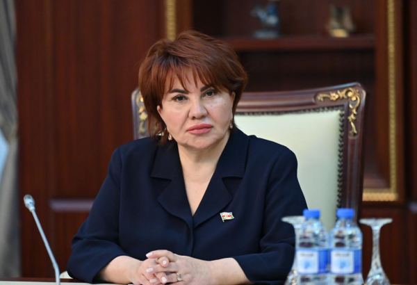 Bakı və Vaşinqton münasibətləri strateji müstəviyə yüksəlir – Deputat