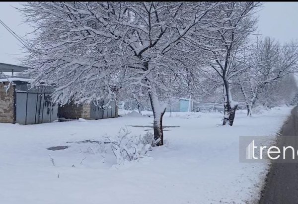 Şahbuzda qar örtüyü 49 santimetrdir