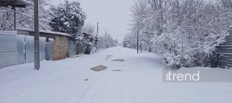 Ağdamda qarın hündürlüyü 15 santimetri keçdi (FOTO)